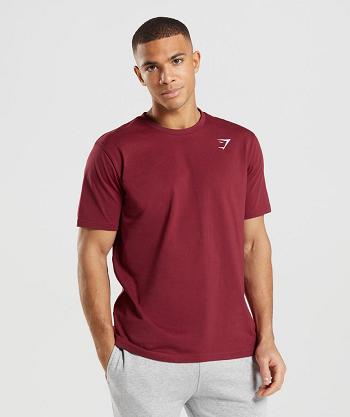 Gymshark Crest Muške T Shirts Bordo Crvene | HR 2463ILH